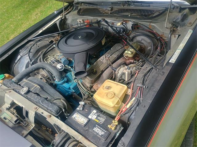 1978 Dodge Magnum (CC-2107500) for sale in Great Bend, Kansas