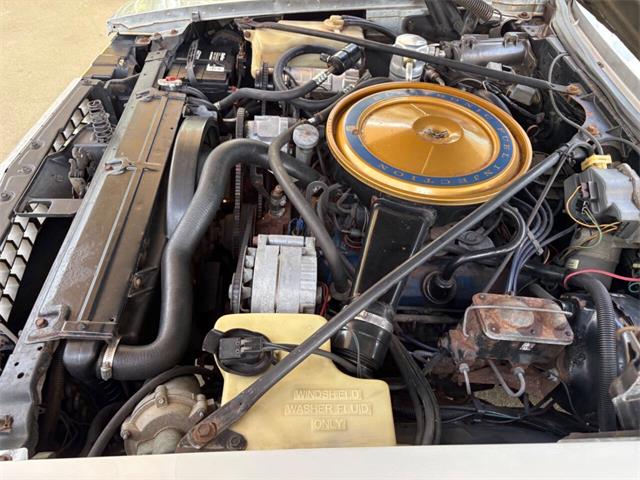 1976 Cadillac Seville (CC-2107570) for sale in Bradenton, Florida