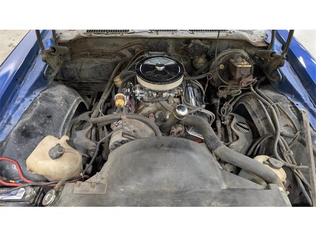 1978 Pontiac Firebird (CC-2107571) for sale in Mankato, Minnesota