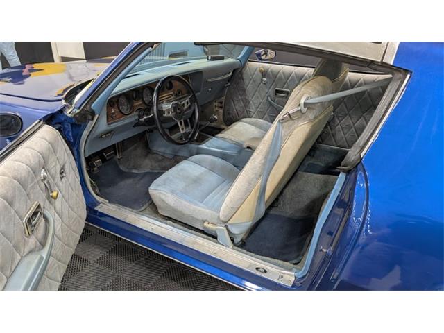 1978 Pontiac Firebird (CC-2107571) for sale in Mankato, Minnesota