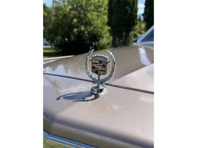 1983 Cadillac Brougham (CC-2107584) for sale in Saratoga Springs, New York