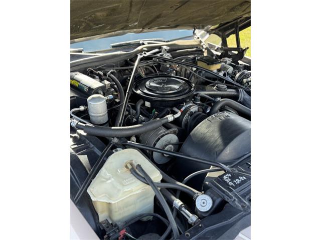 1983 Cadillac Brougham (CC-2107584) for sale in Saratoga Springs, New York
