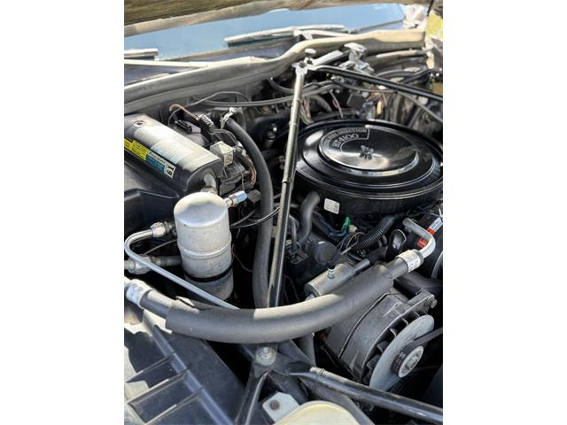 1983 Cadillac Brougham (CC-2107584) for sale in Saratoga Springs, New York