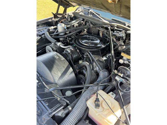1983 Cadillac Brougham (CC-2107584) for sale in Saratoga Springs, New York