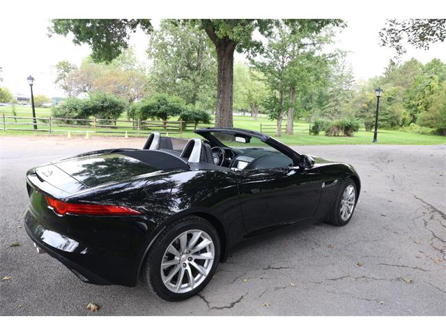2016 Jaguar Convertible (CC-2107594) for sale in Saratoga Springs, New York
