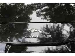 2016 Jaguar Convertible (CC-2107594) for sale in Saratoga Springs, New York