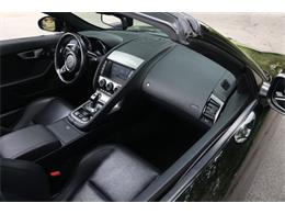 2016 Jaguar Convertible (CC-2107594) for sale in Saratoga Springs, New York
