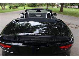 2016 Jaguar Convertible (CC-2107594) for sale in Saratoga Springs, New York