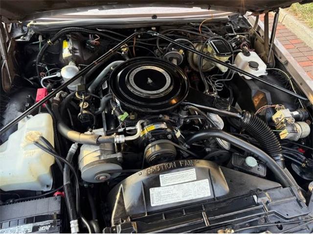 1984 Cadillac Seville (CC-2107606) for sale in Cadillac, Michigan