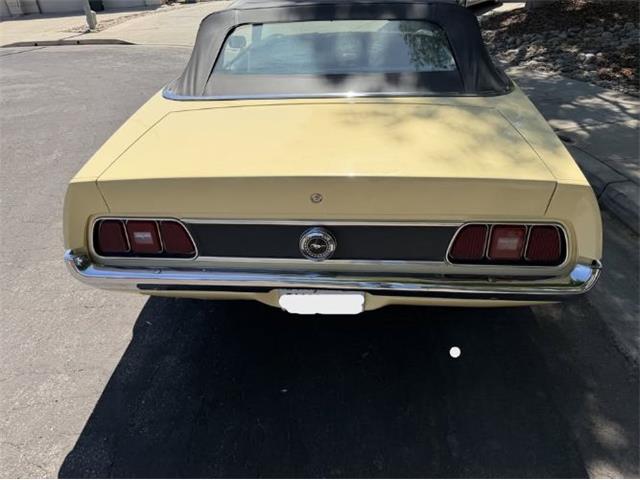 1971 Ford Mustang (CC-2107608) for sale in Cadillac, Michigan