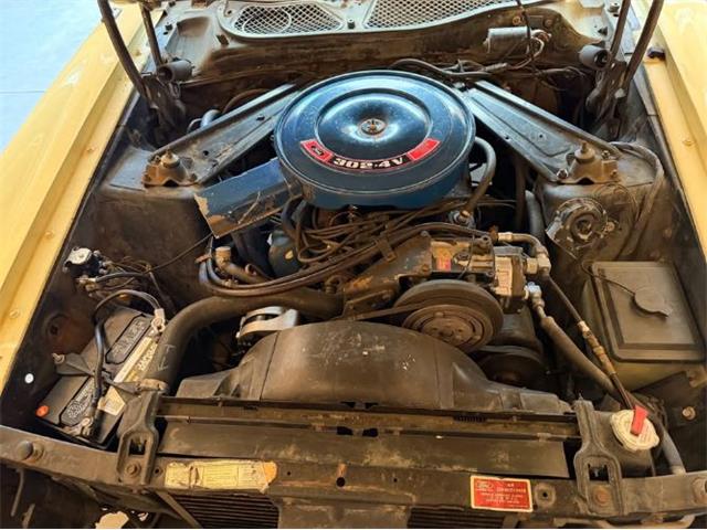1971 Ford Mustang (CC-2107608) for sale in Cadillac, Michigan
