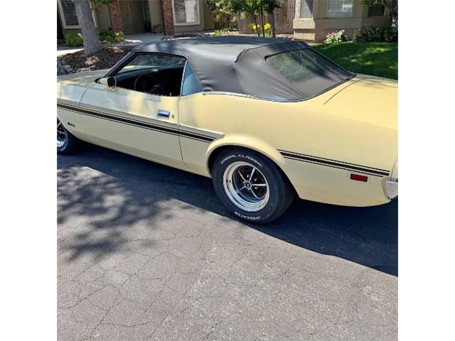 1971 Ford Mustang (CC-2107608) for sale in Cadillac, Michigan