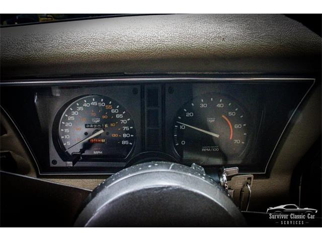 1982 Chevrolet Corvette (CC-2107612) for sale in Palmetto, Florida