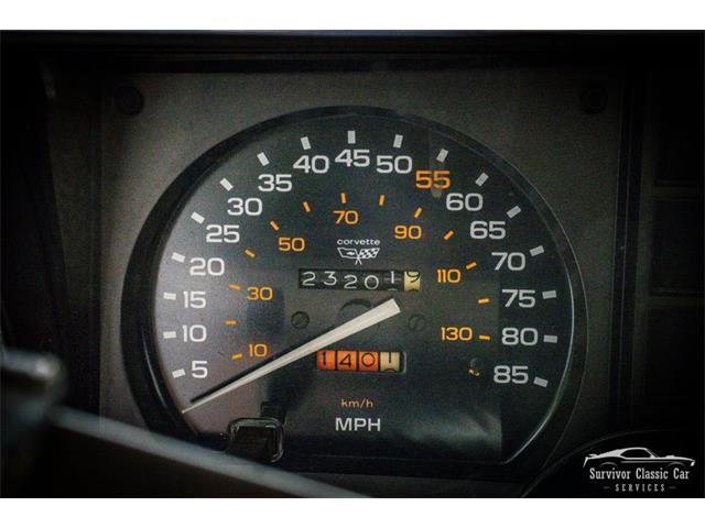1982 Chevrolet Corvette (CC-2107612) for sale in Palmetto, Florida