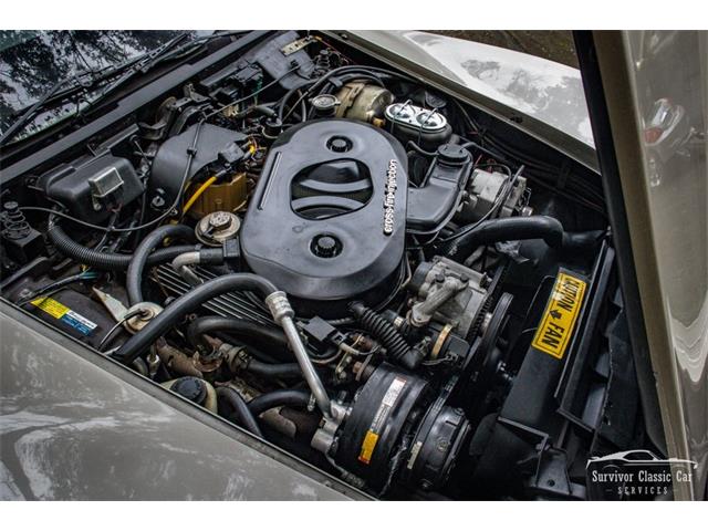 1982 Chevrolet Corvette (CC-2107612) for sale in Palmetto, Florida