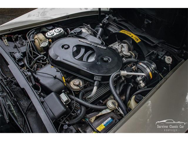1982 Chevrolet Corvette (CC-2107612) for sale in Palmetto, Florida