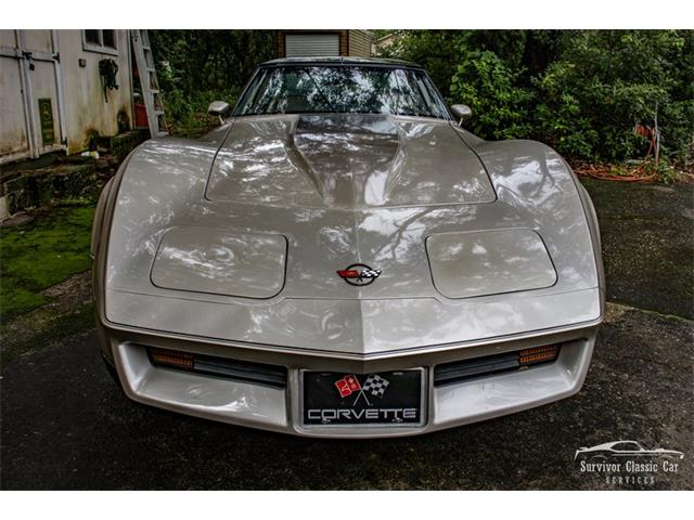 1982 Chevrolet Corvette (CC-2107612) for sale in Palmetto, Florida