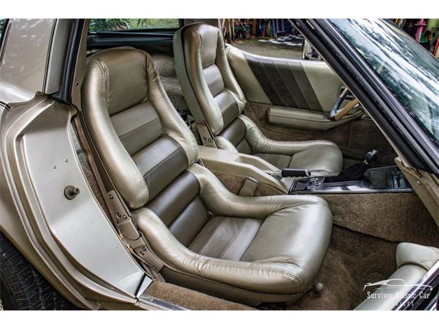 1982 Chevrolet Corvette (CC-2107612) for sale in Palmetto, Florida