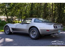 1982 Chevrolet Corvette (CC-2107612) for sale in Palmetto, Florida