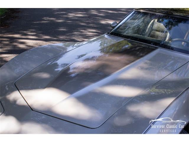 1982 Chevrolet Corvette (CC-2107612) for sale in Palmetto, Florida