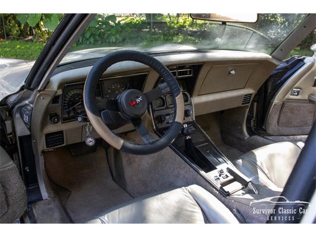 1982 Chevrolet Corvette (CC-2107612) for sale in Palmetto, Florida