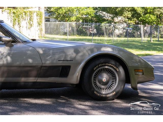 1982 Chevrolet Corvette (CC-2107612) for sale in Palmetto, Florida