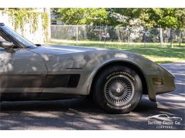 1982 Chevrolet Corvette (CC-2107612) for sale in Palmetto, Florida