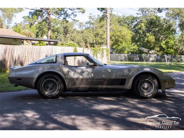 1982 Chevrolet Corvette (CC-2107612) for sale in Palmetto, Florida