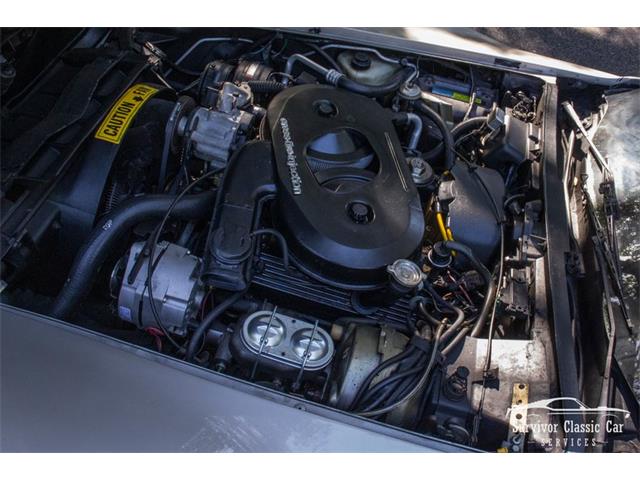 1982 Chevrolet Corvette (CC-2107612) for sale in Palmetto, Florida