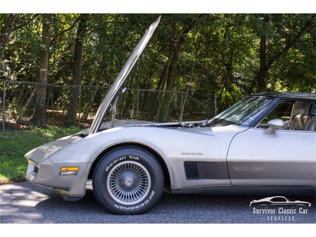 1982 Chevrolet Corvette (CC-2107612) for sale in Palmetto, Florida