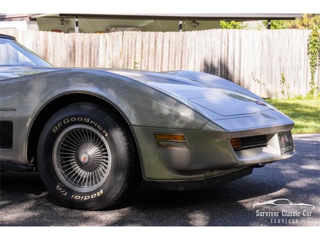 1982 Chevrolet Corvette (CC-2107612) for sale in Palmetto, Florida