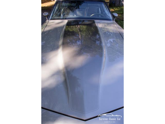 1982 Chevrolet Corvette (CC-2107612) for sale in Palmetto, Florida