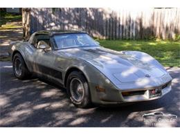 1982 Chevrolet Corvette (CC-2107612) for sale in Palmetto, Florida