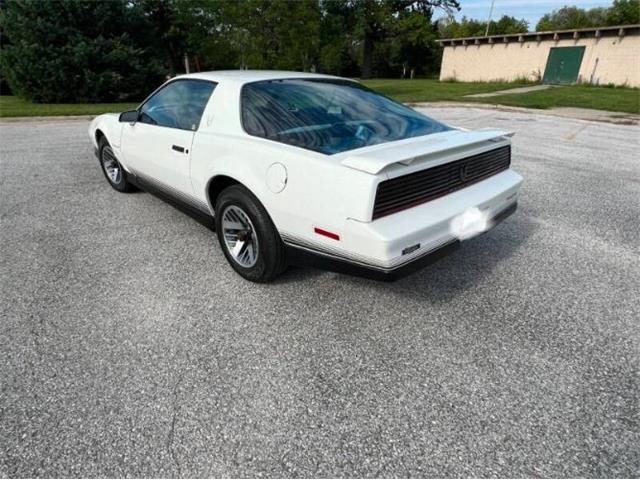 1984 Pontiac Firebird (CC-2107617) for sale in Cadillac, Michigan