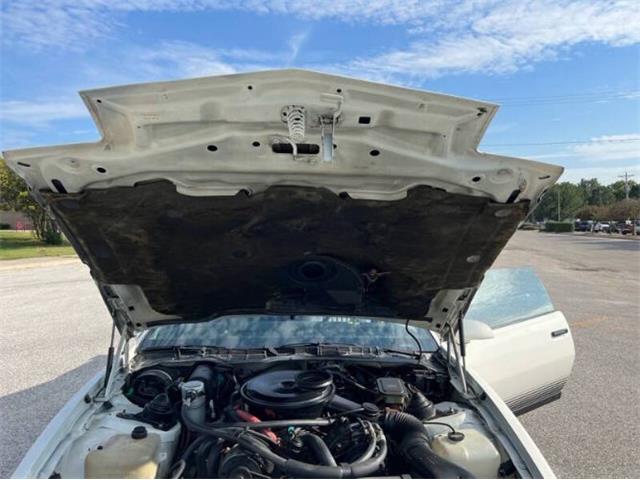 1984 Pontiac Firebird (CC-2107617) for sale in Cadillac, Michigan