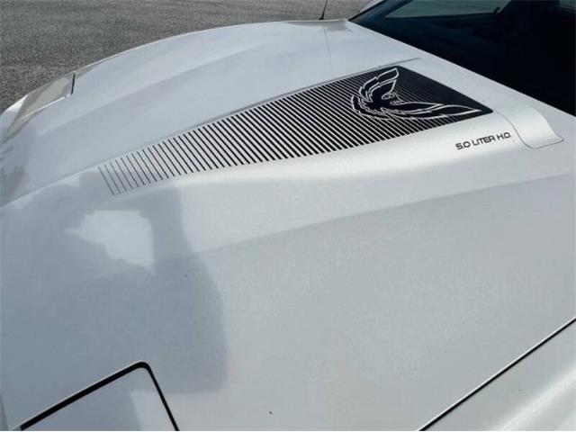 1984 Pontiac Firebird (CC-2107617) for sale in Cadillac, Michigan
