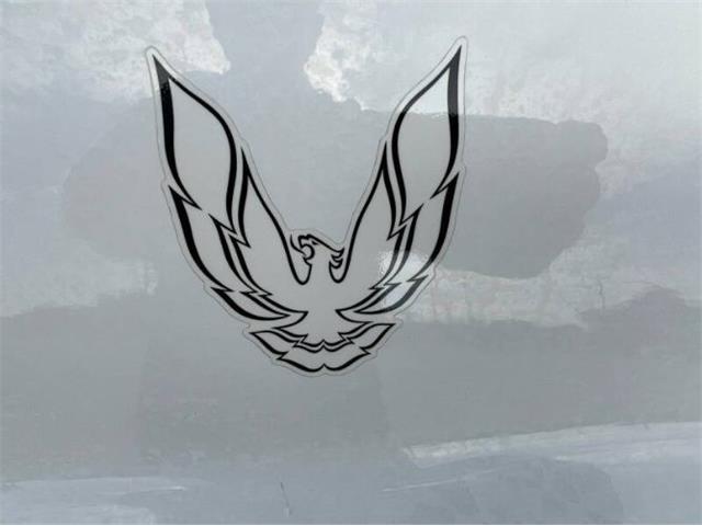 1984 Pontiac Firebird (CC-2107617) for sale in Cadillac, Michigan