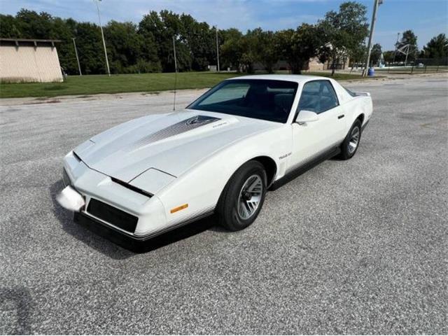 1984 Pontiac Firebird (CC-2107617) for sale in Cadillac, Michigan