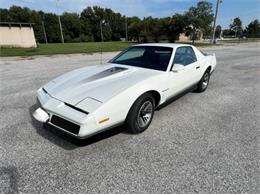 1984 Pontiac Firebird (CC-2107617) for sale in Cadillac, Michigan