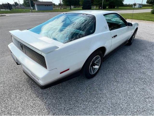 1984 Pontiac Firebird (CC-2107617) for sale in Cadillac, Michigan