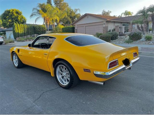 1973 Pontiac Firebird (CC-2107620) for sale in Cadillac, Michigan