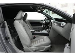 2007 Ford Mustang (CC-2107653) for sale in Homer City, Pennsylvania