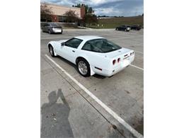 1993 Chevrolet Corvette (CC-2107654) for sale in Cadillac, Michigan