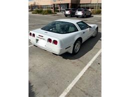 1993 Chevrolet Corvette (CC-2107654) for sale in Cadillac, Michigan