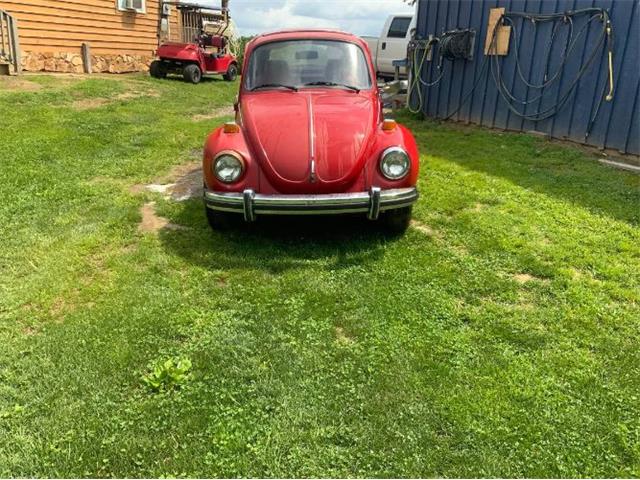 1974 Volkswagen Super Beetle (CC-2107655) for sale in Cadillac, Michigan