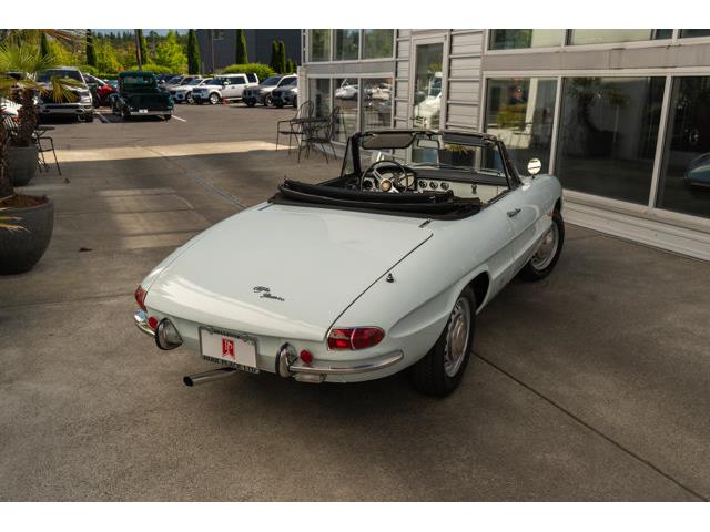 1967 Alfa Romeo Spider (CC-2107657) for sale in Boise, Idaho