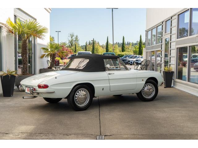 1967 Alfa Romeo Spider (CC-2107657) for sale in Boise, Idaho