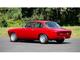 1966 Alfa Romeo Giulia (CC-2107697) for sale in Newport, Rhode Island