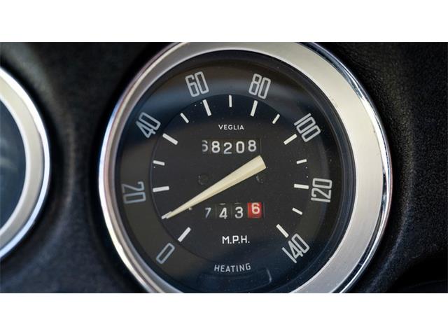 1966 Alfa Romeo Giulia (CC-2107697) for sale in Newport, Rhode Island