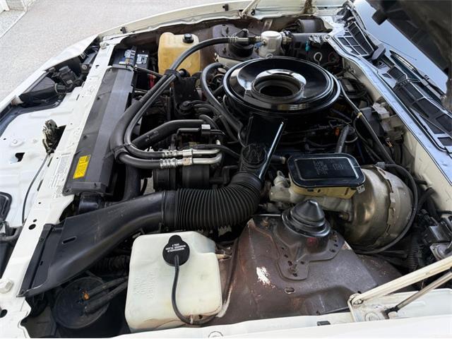 1984 Pontiac Firebird Trans Am (CC-2107743) for sale in Lincoln, Nebraska
